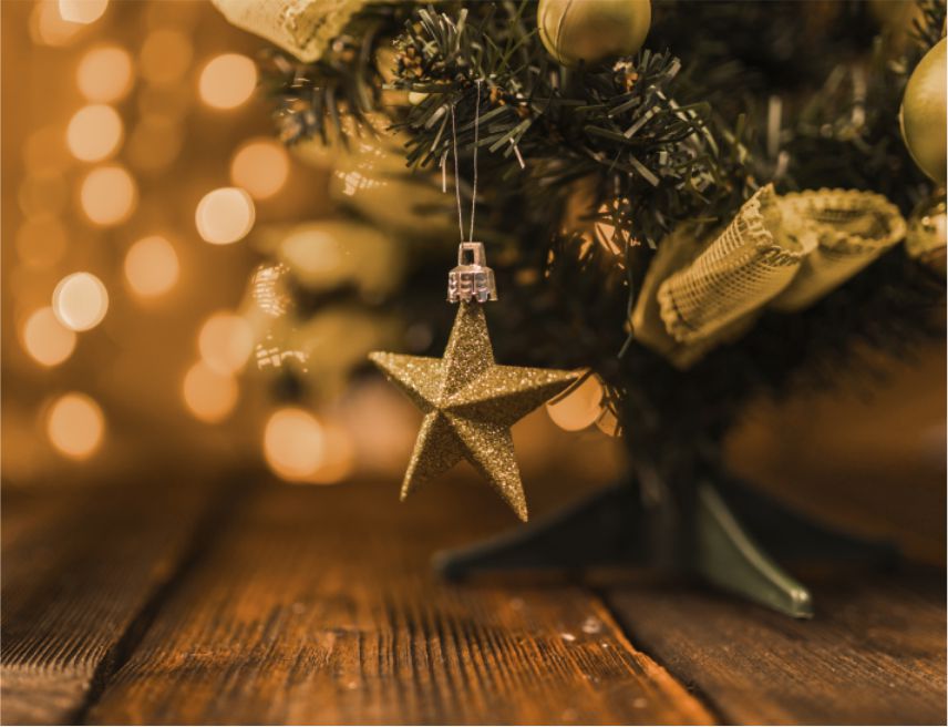 Conheça as atrações do Magia de Natal 2019 em Blumenau