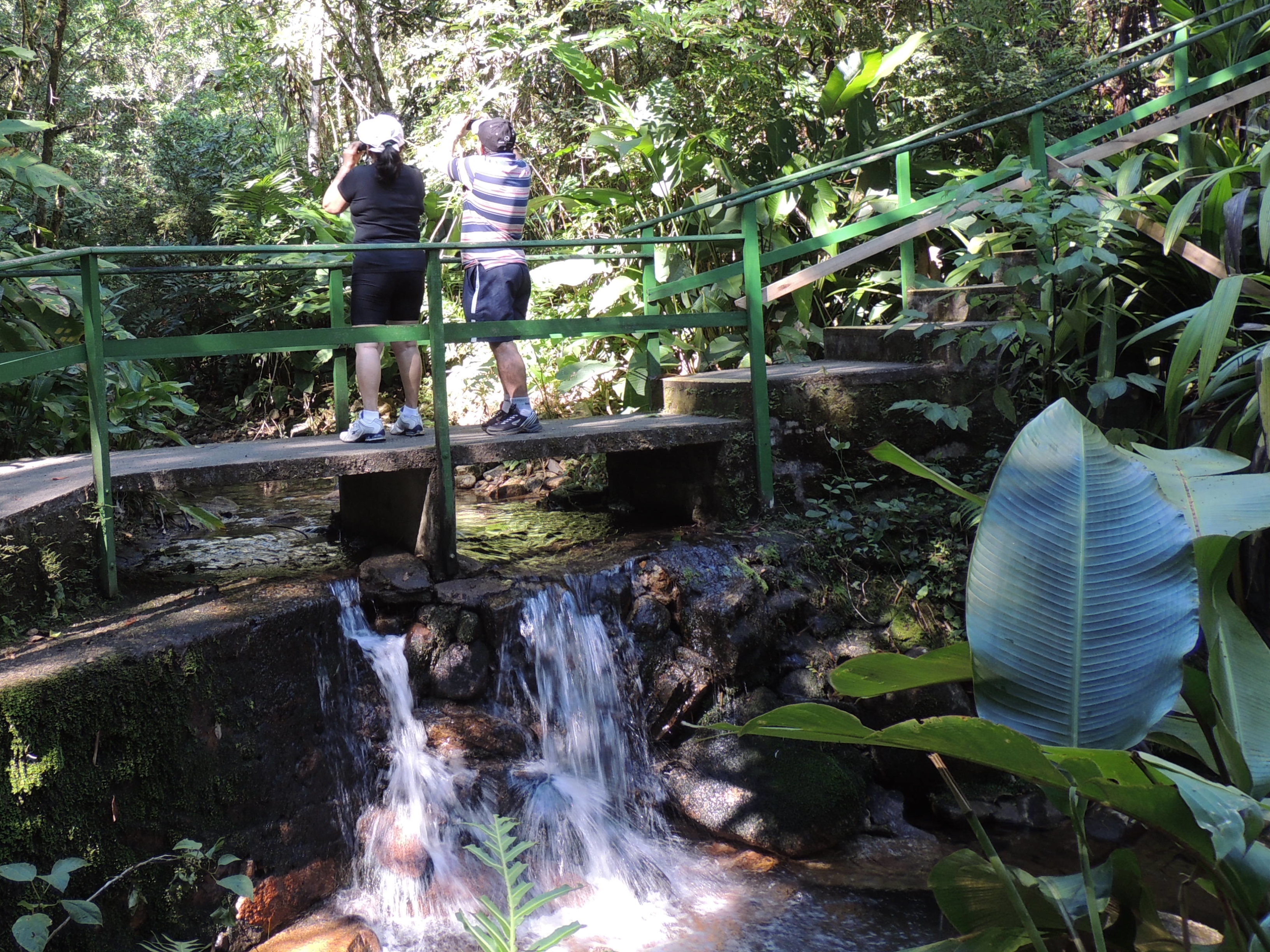 Águas quentes naturais em Minas Gerais - Viajando com Sy